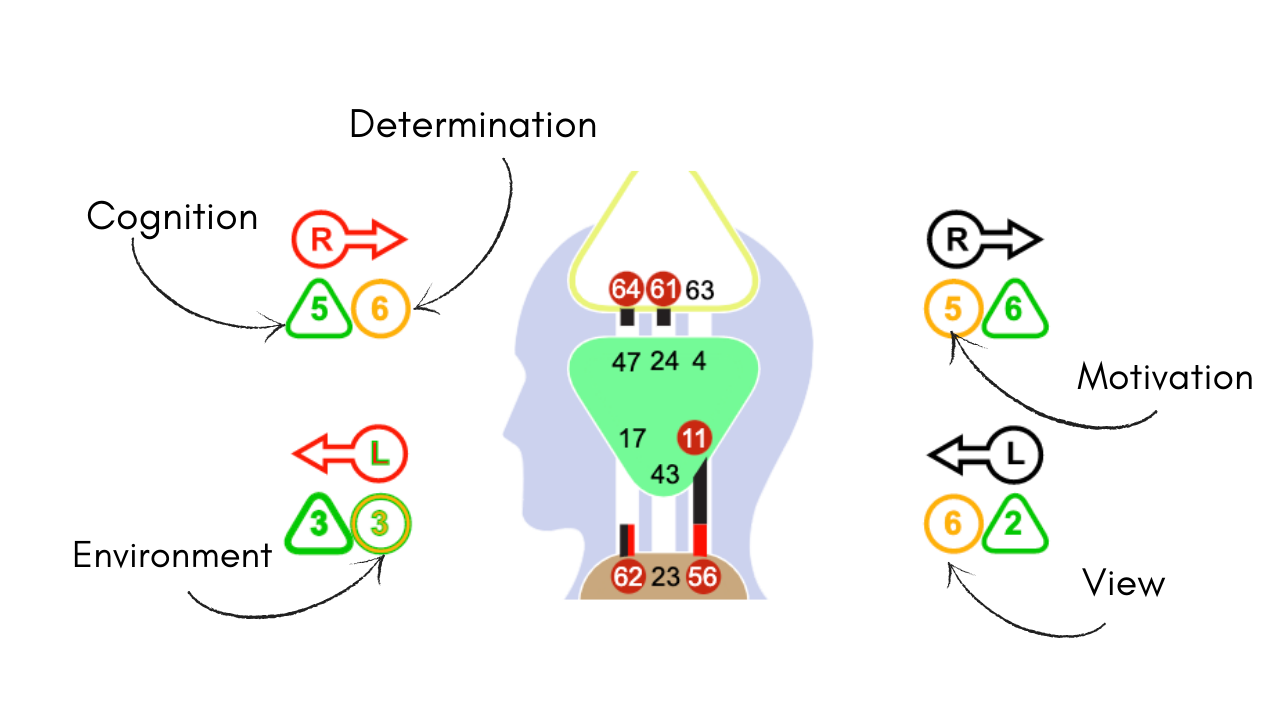 four radical transformations human design