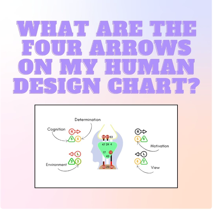 human design variables 
