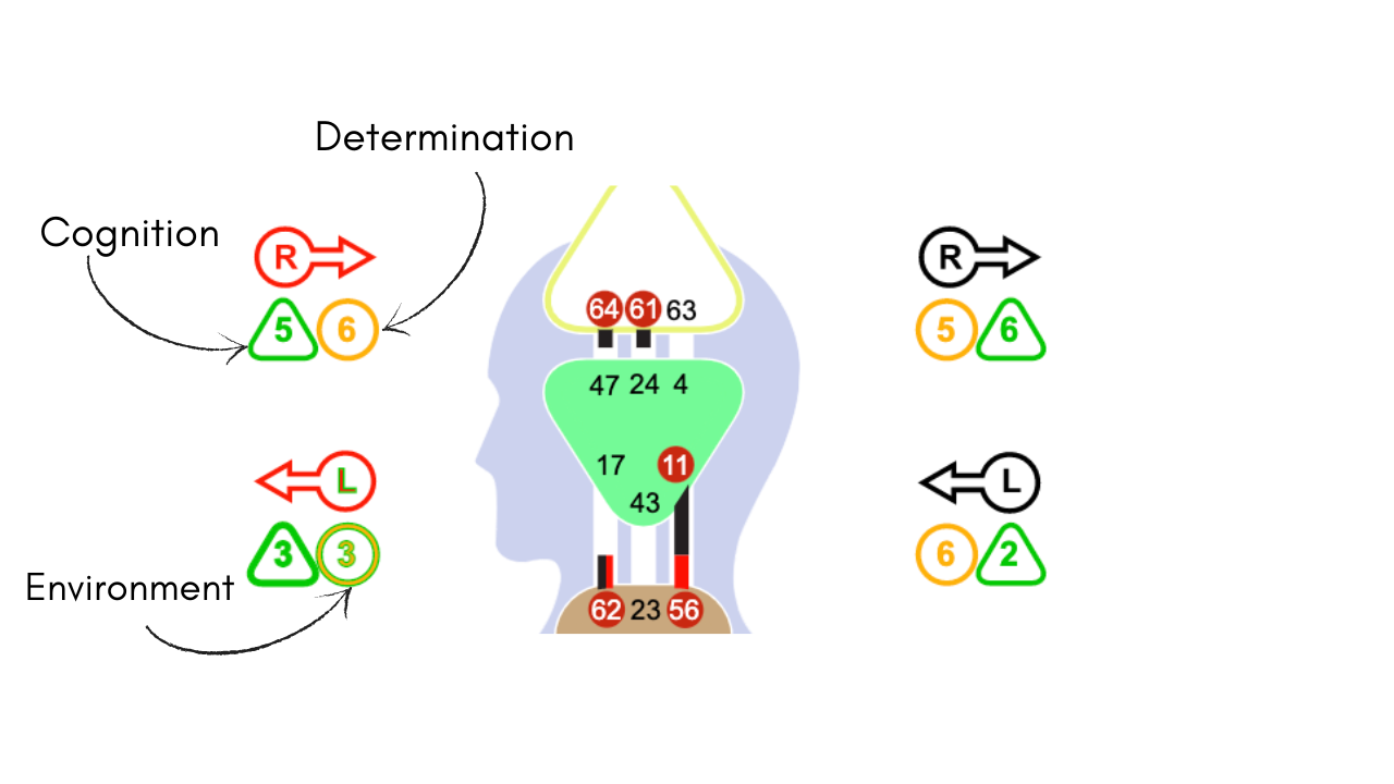 environment human design